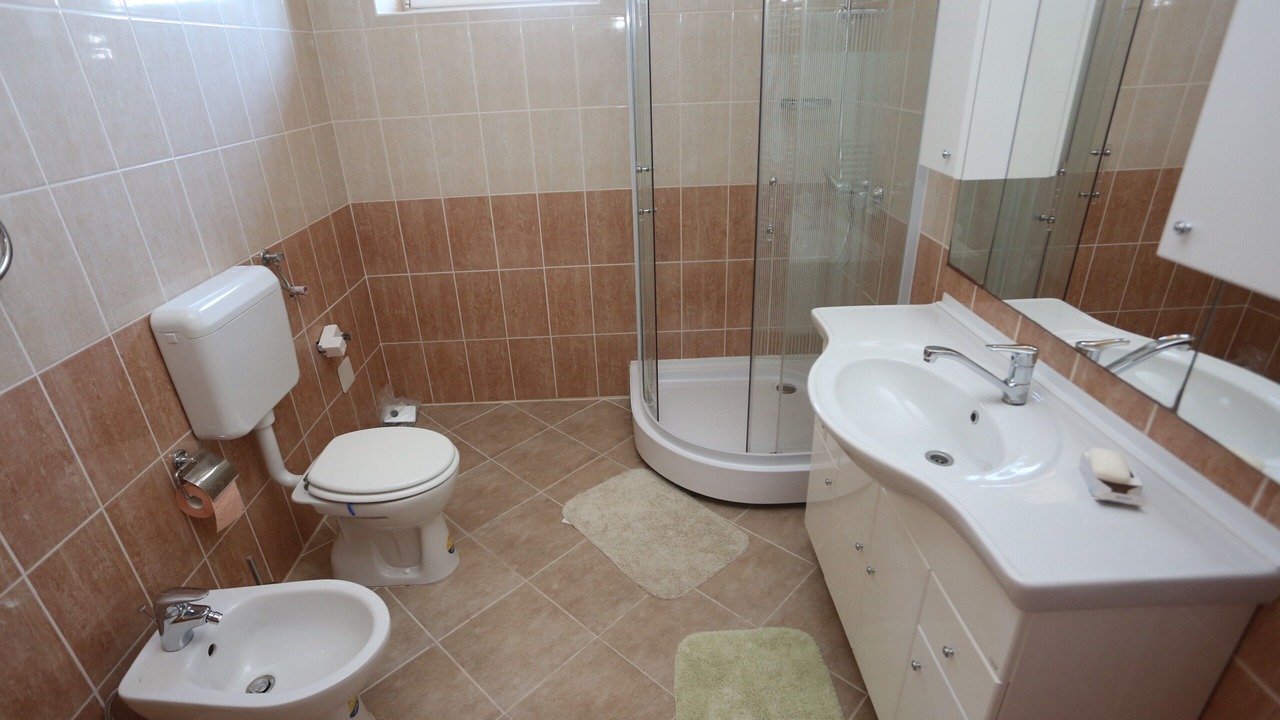 Photo of Bathroom in Svajcarnica
