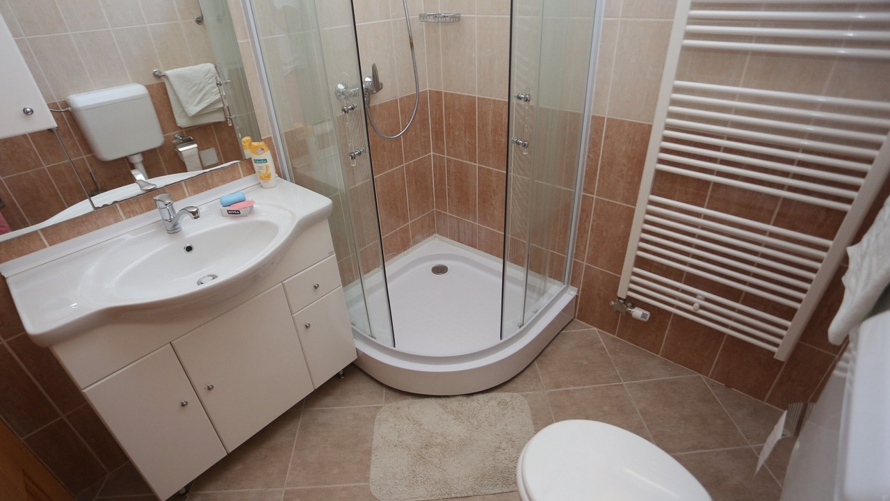 Photo of Bathroom in Svajcarnica