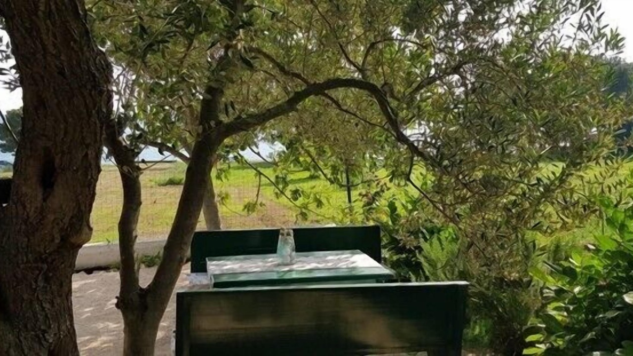 Photo of Outdoor in Sveti Filip i Jakov