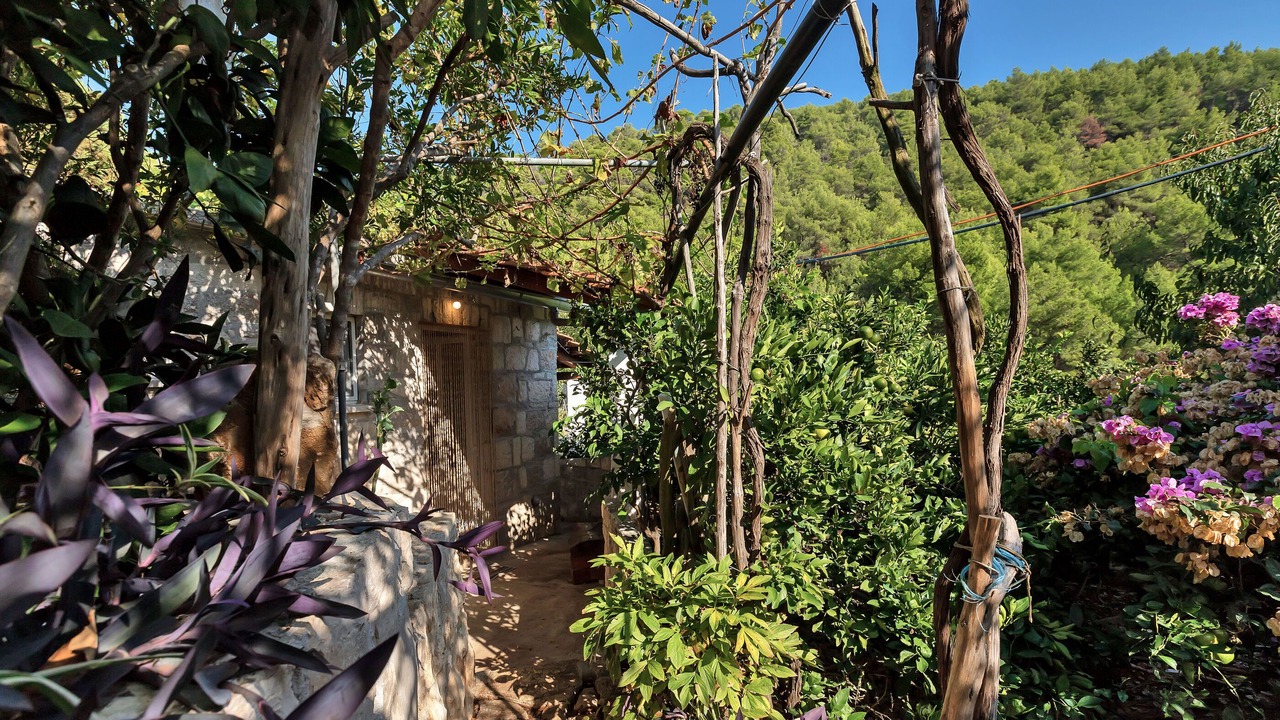 Photo of Outdoor in Bogomolje