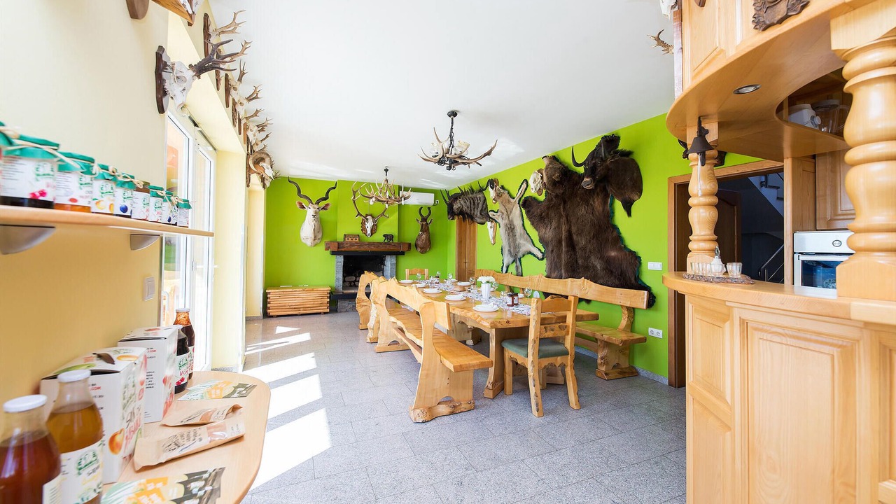Photo of Bedroom in Svajcarnica