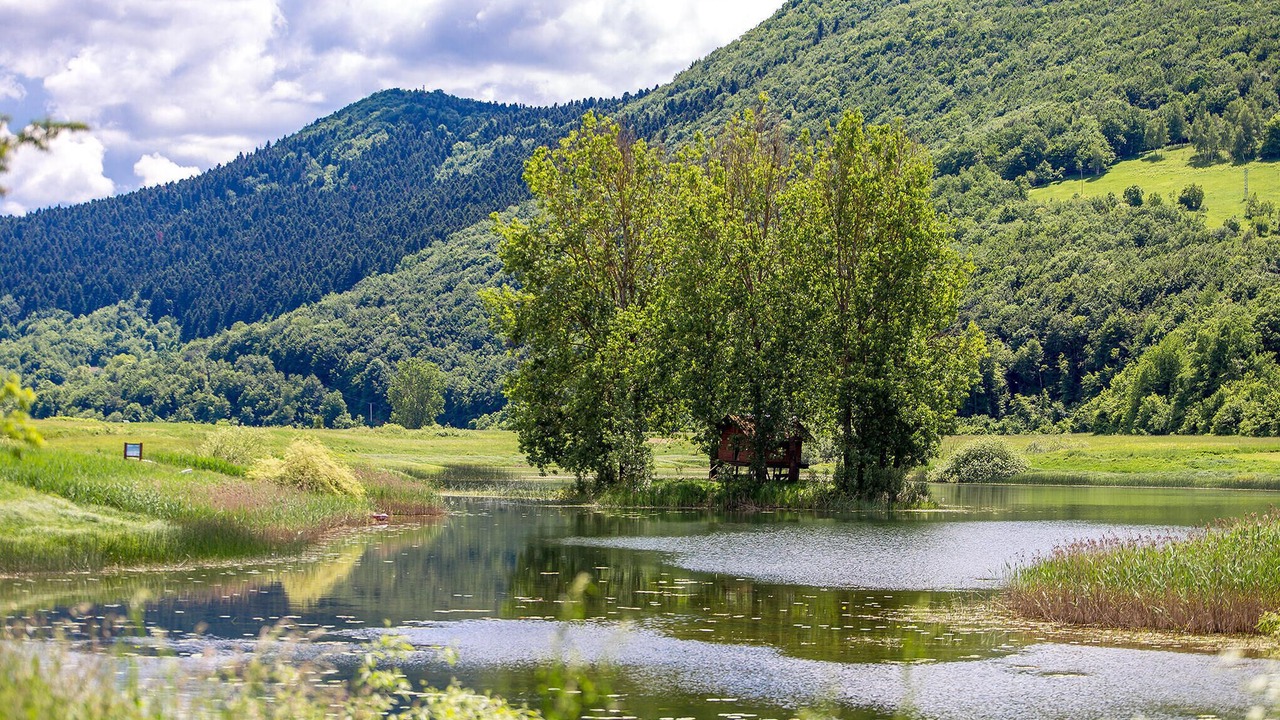 Photo of Others in Rakovica