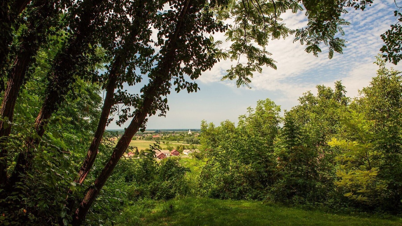 Photo of Outdoor in Draz