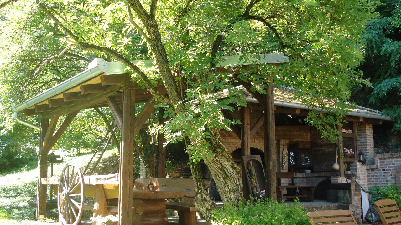 Photo of Outdoor in Draz