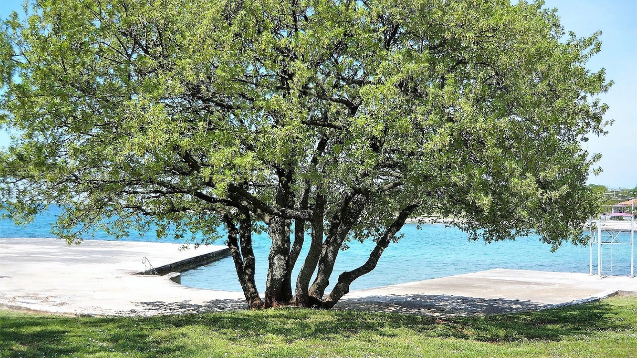 Photo of Others in Krsete