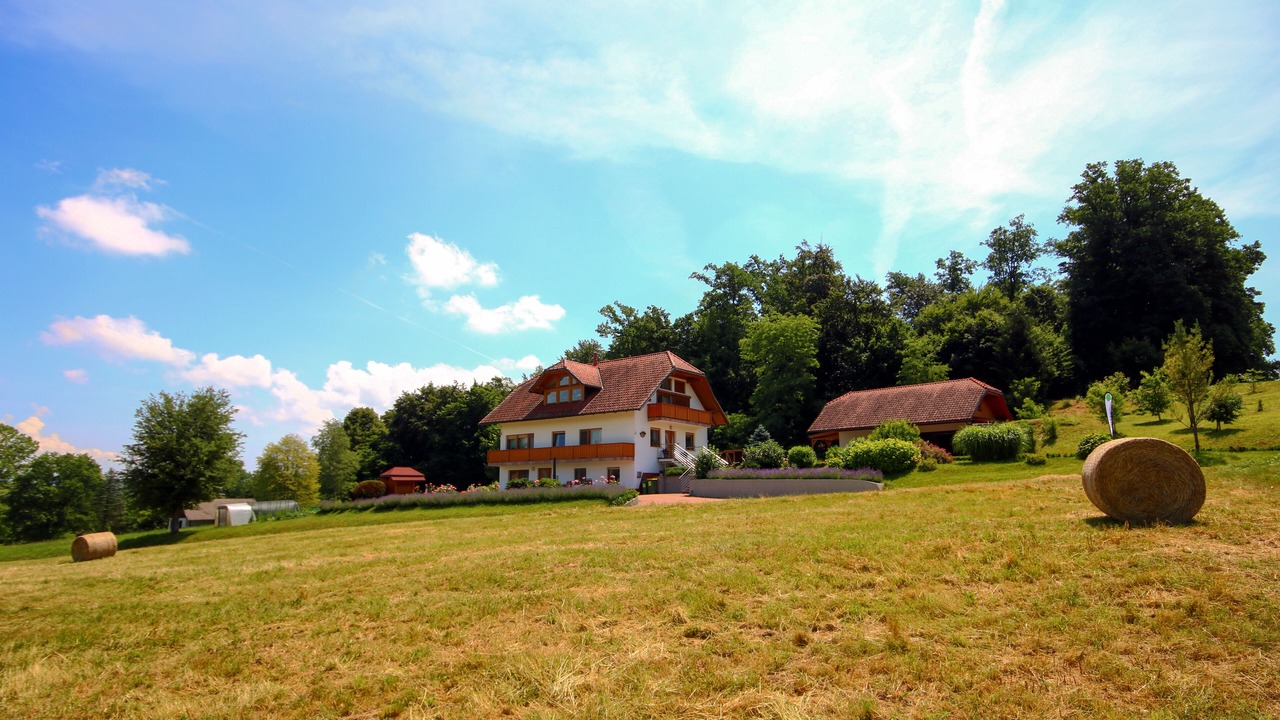 Photo of Outdoor in Bostanj