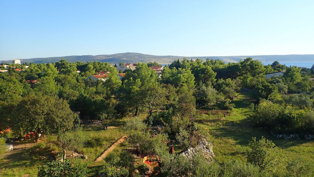 Photo of Others in Starigrad