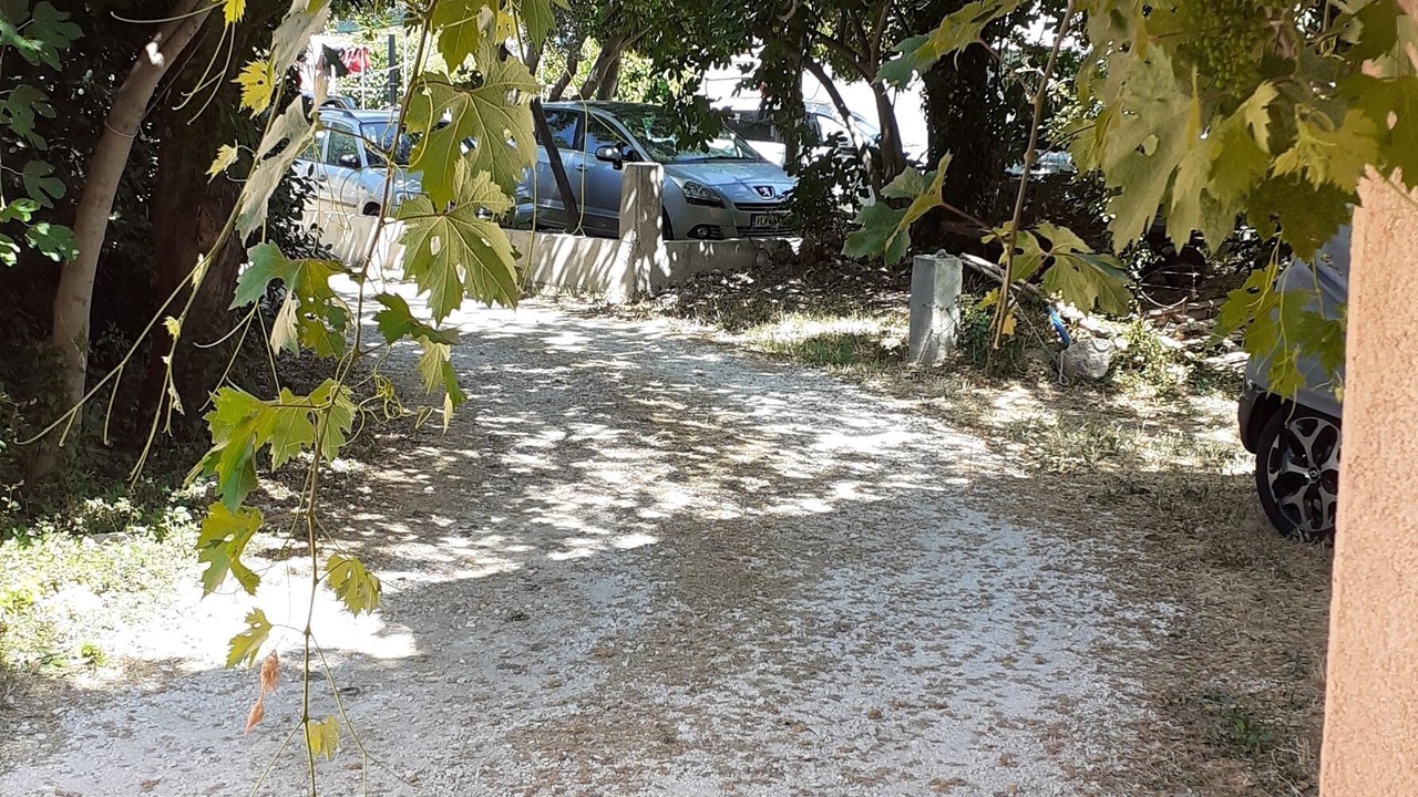Photo of Others in Zuljana