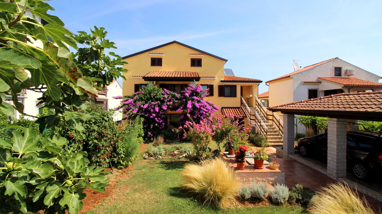 Photo of Outdoor in Brulo