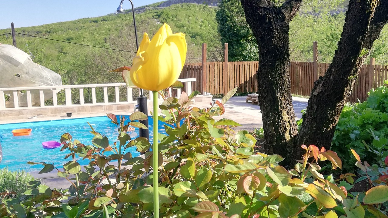 Photo of Outdoor in Donji Dolac