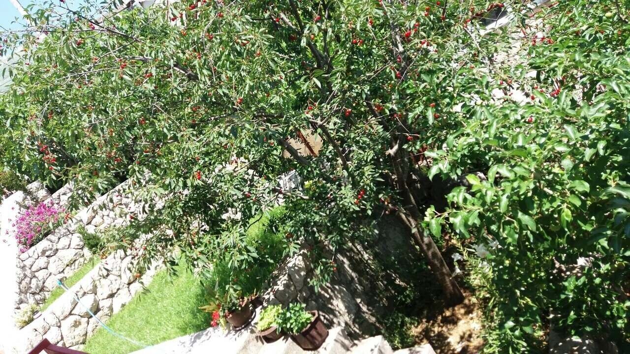 Photo of Outdoor in Trebinje