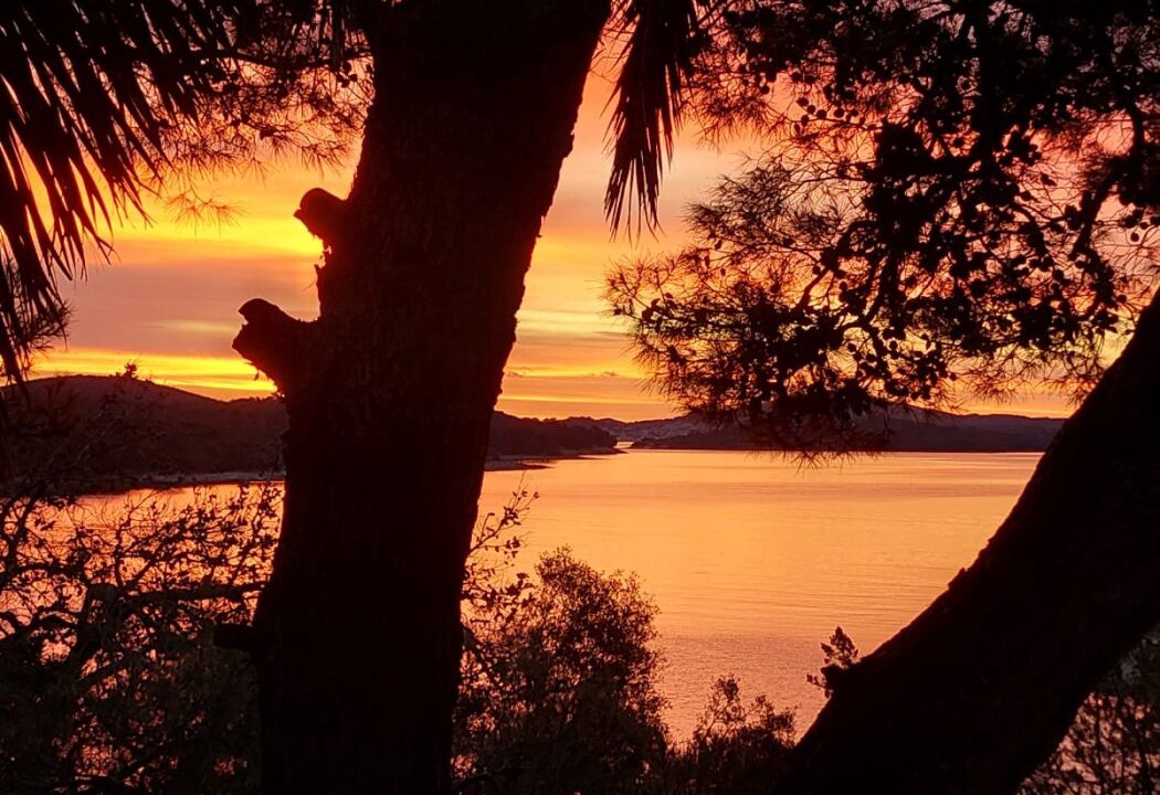 Photo of Others in Artatore