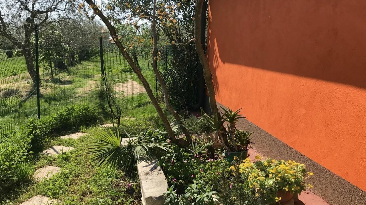 Photo of Outdoor in Babici