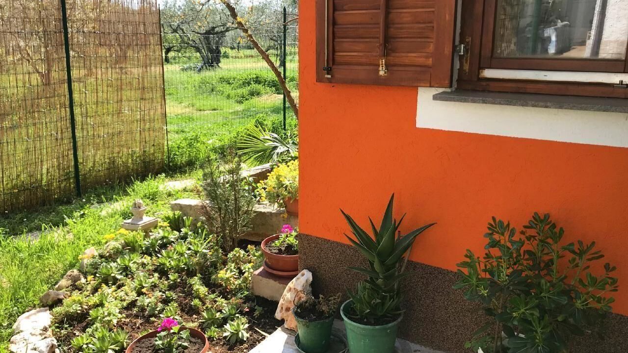 Photo of Outdoor in Babici