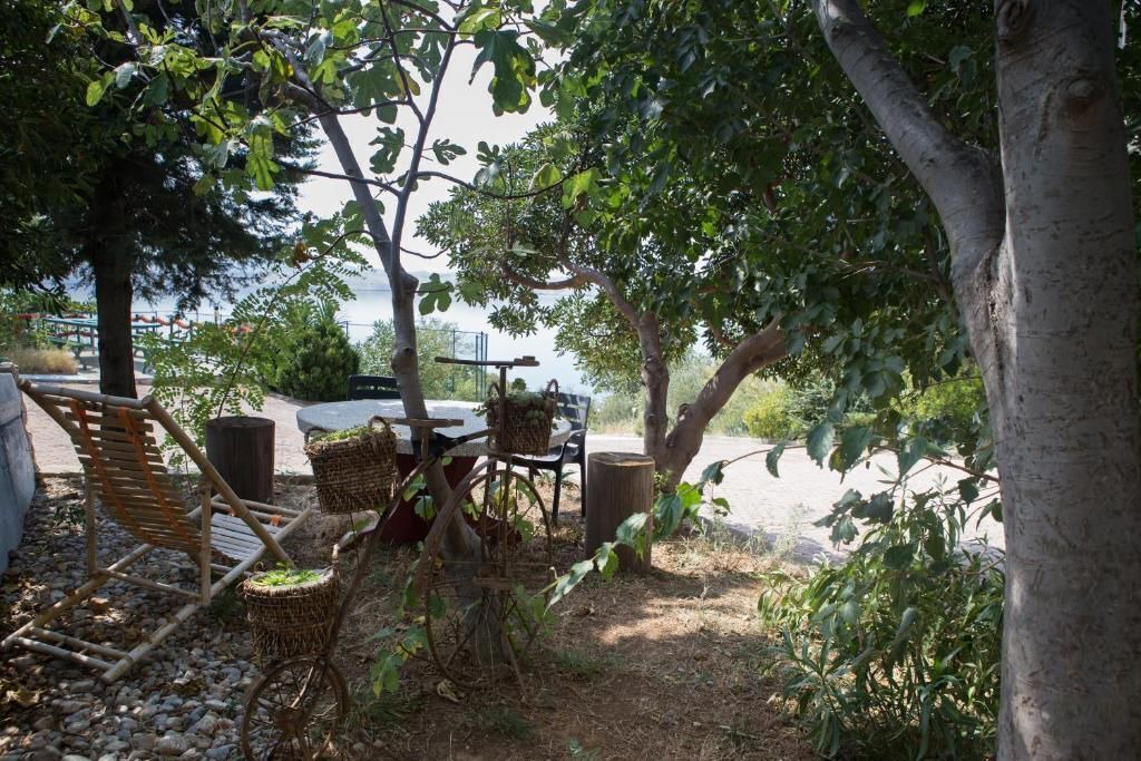 Photo of Outdoor in Cesarica