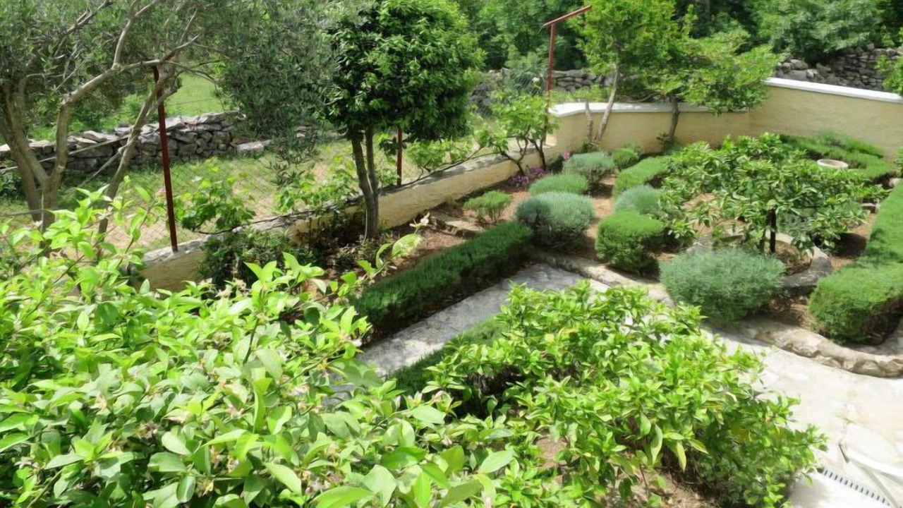 Photo of Outdoor in Maslenica