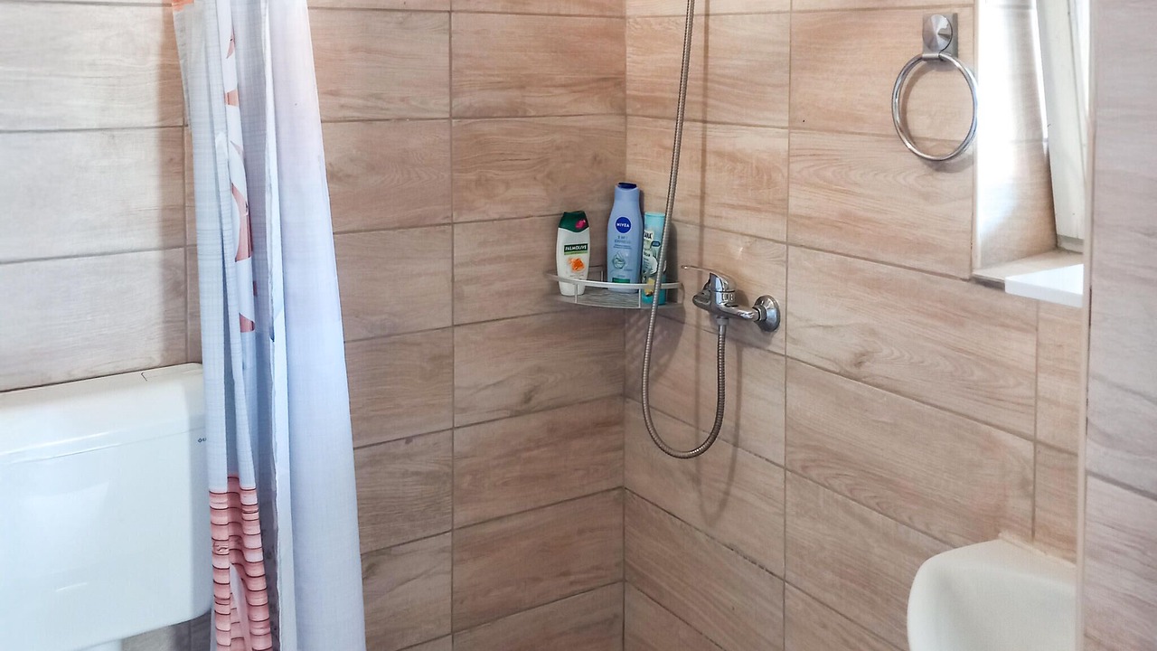 Photo of Bathroom in Sveti Ivan Zelina