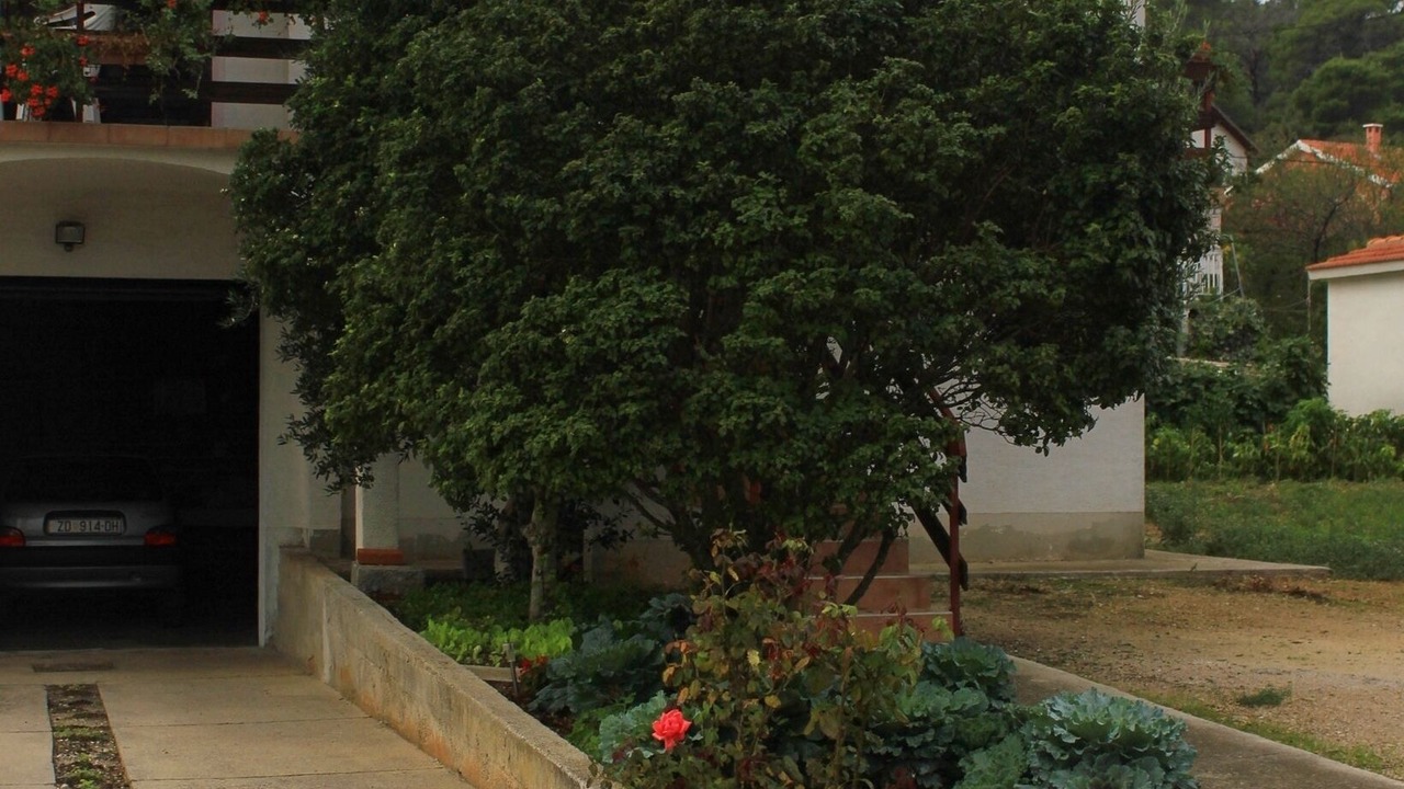 Photo of Outdoor in Kraj