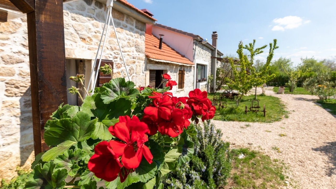 Photo of Outdoor in Bogatic