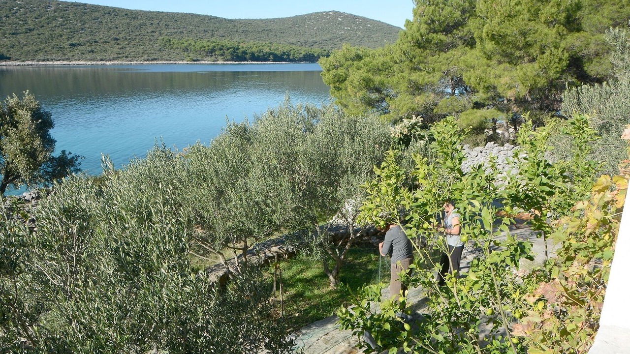 Photo of Outdoor in Kraj