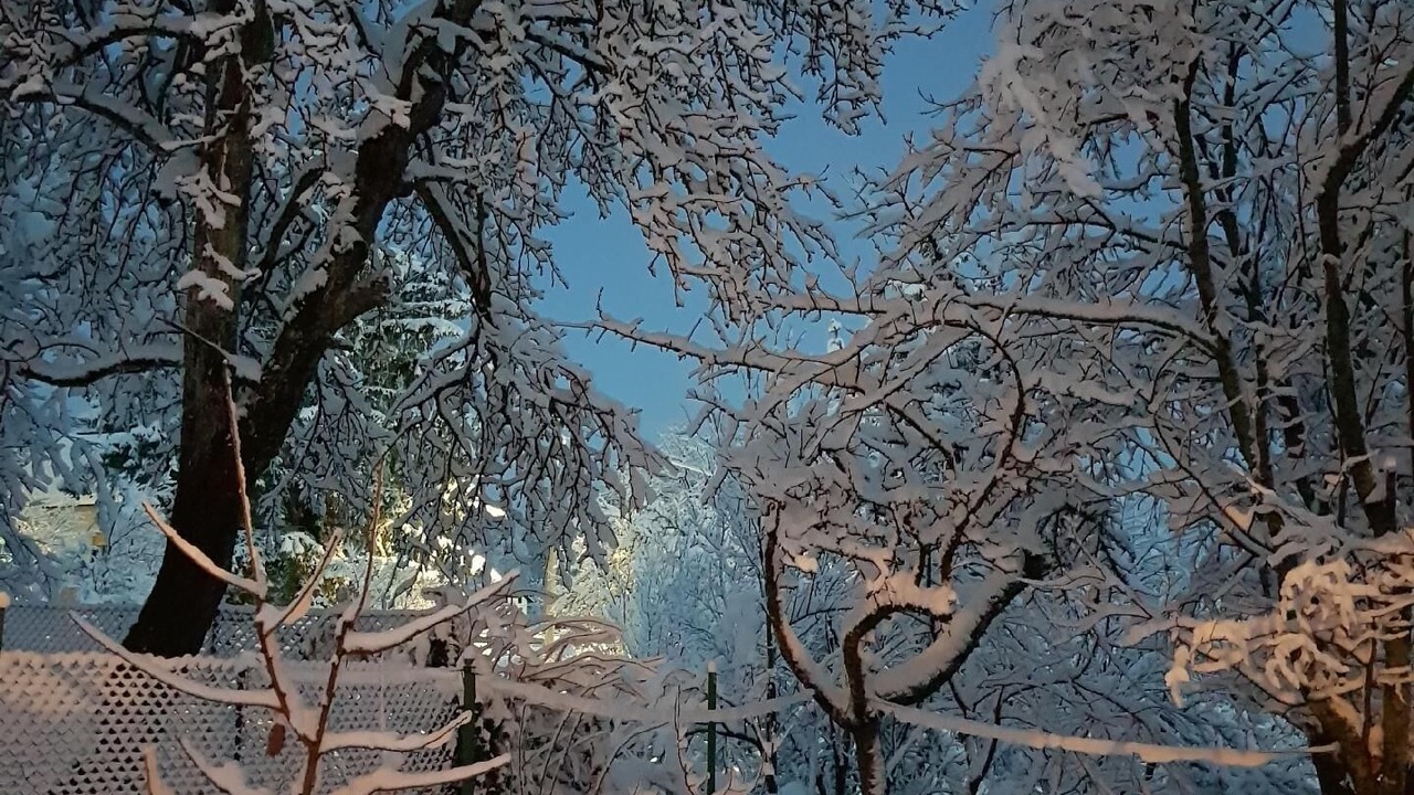 Photo of Outdoor in Brod Moravice