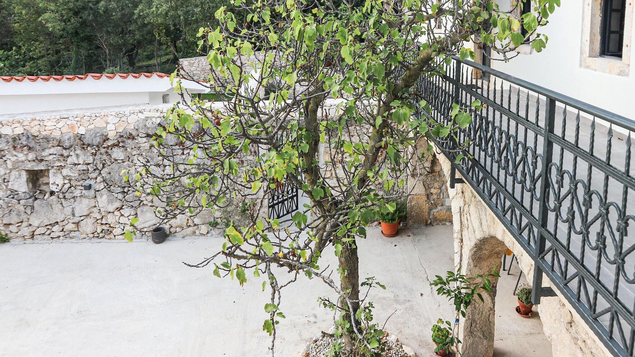 Photo of Others in Tribalj