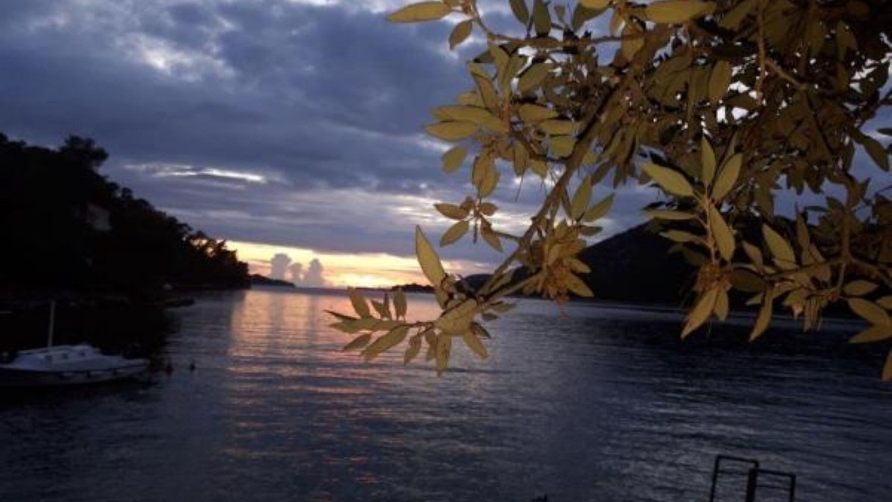 Photo of Outdoor in Brna