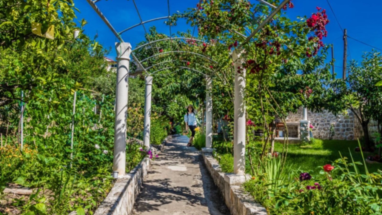Photo of Outdoor in Dubrovnik