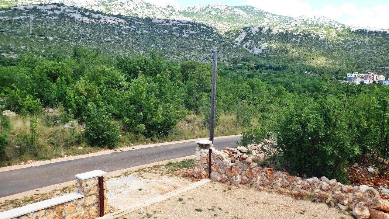 Photo of Others in Seline