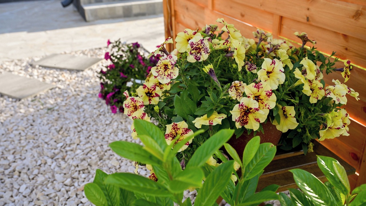 Photo of Outdoor in Galovac