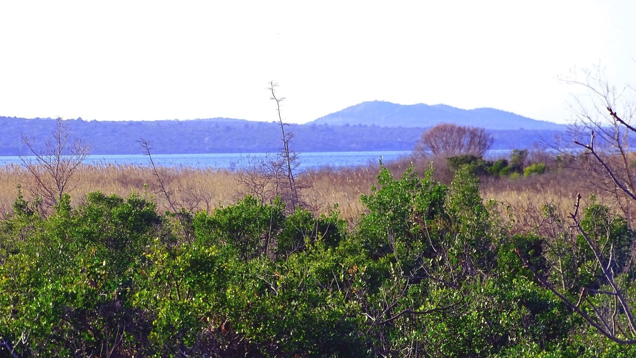 Photo of Outdoor in Pirovac