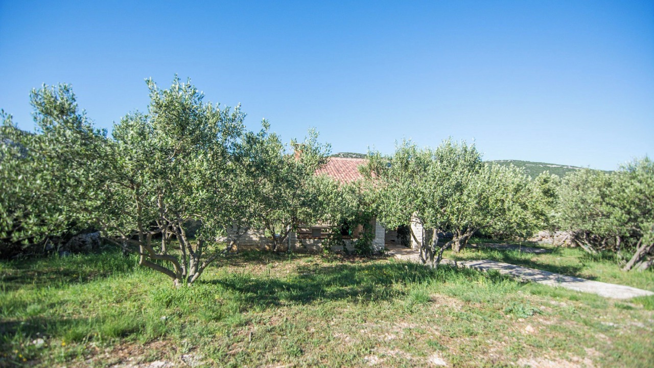 Photo of Outdoor in Pirovac