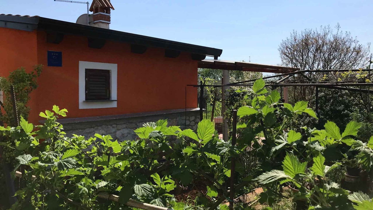 Photo of Outdoor in Babici