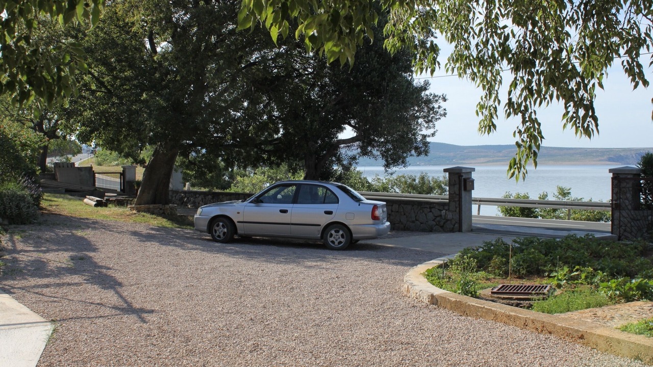 Photo of Others in Seline