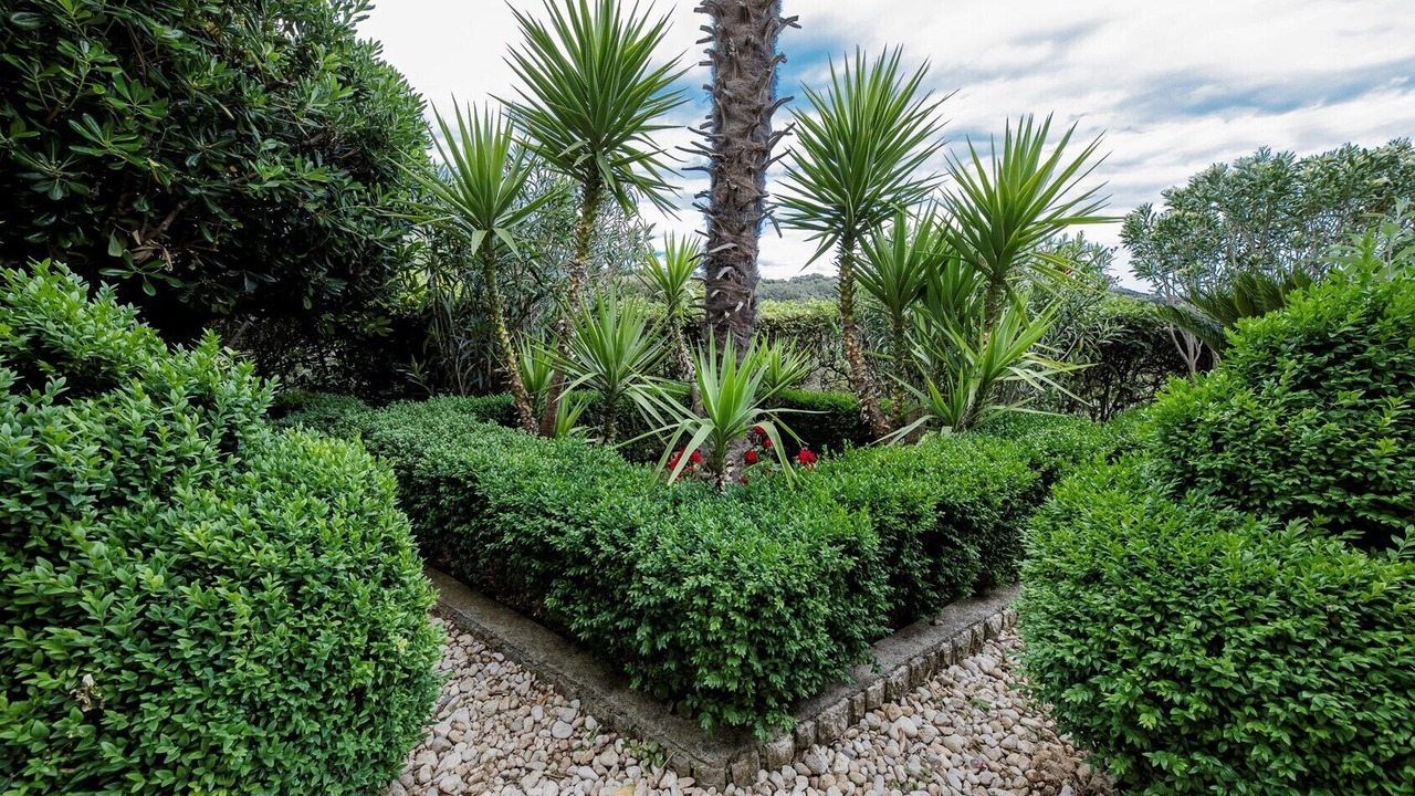 Photo of Outdoor in Suha Punta
