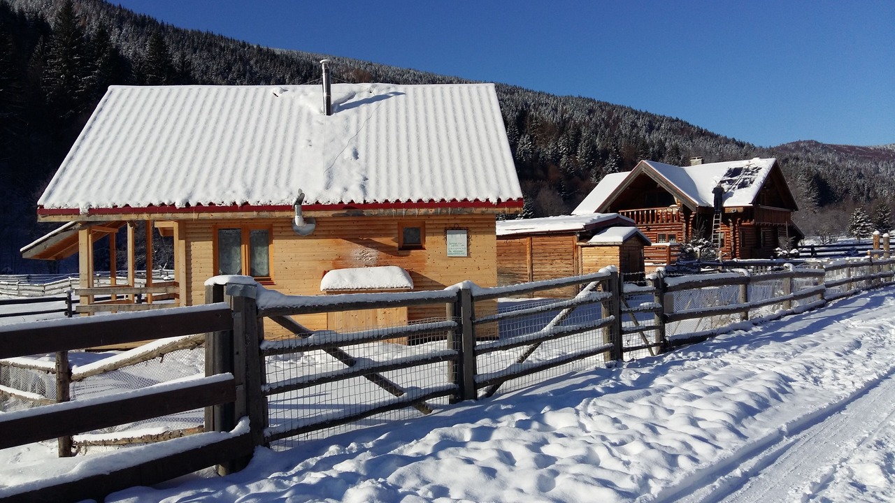Photo of Outdoor in Zarnesti