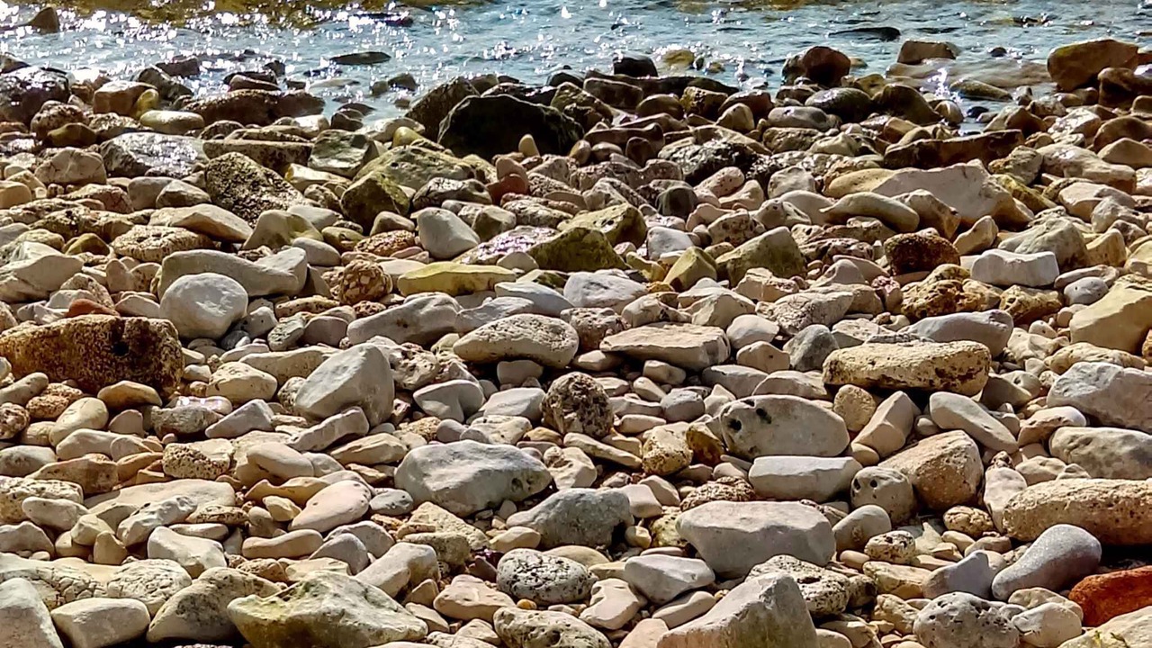 Photo of Others in Đuba