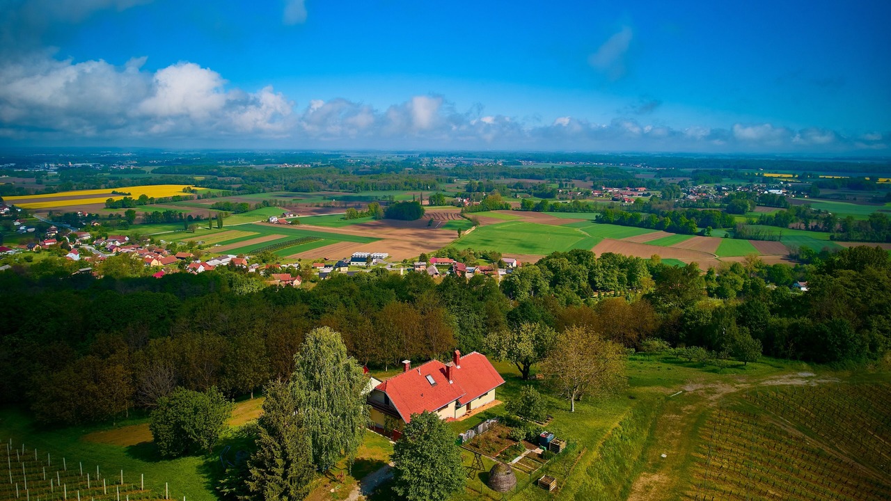 Photo of Others in Ljutomer