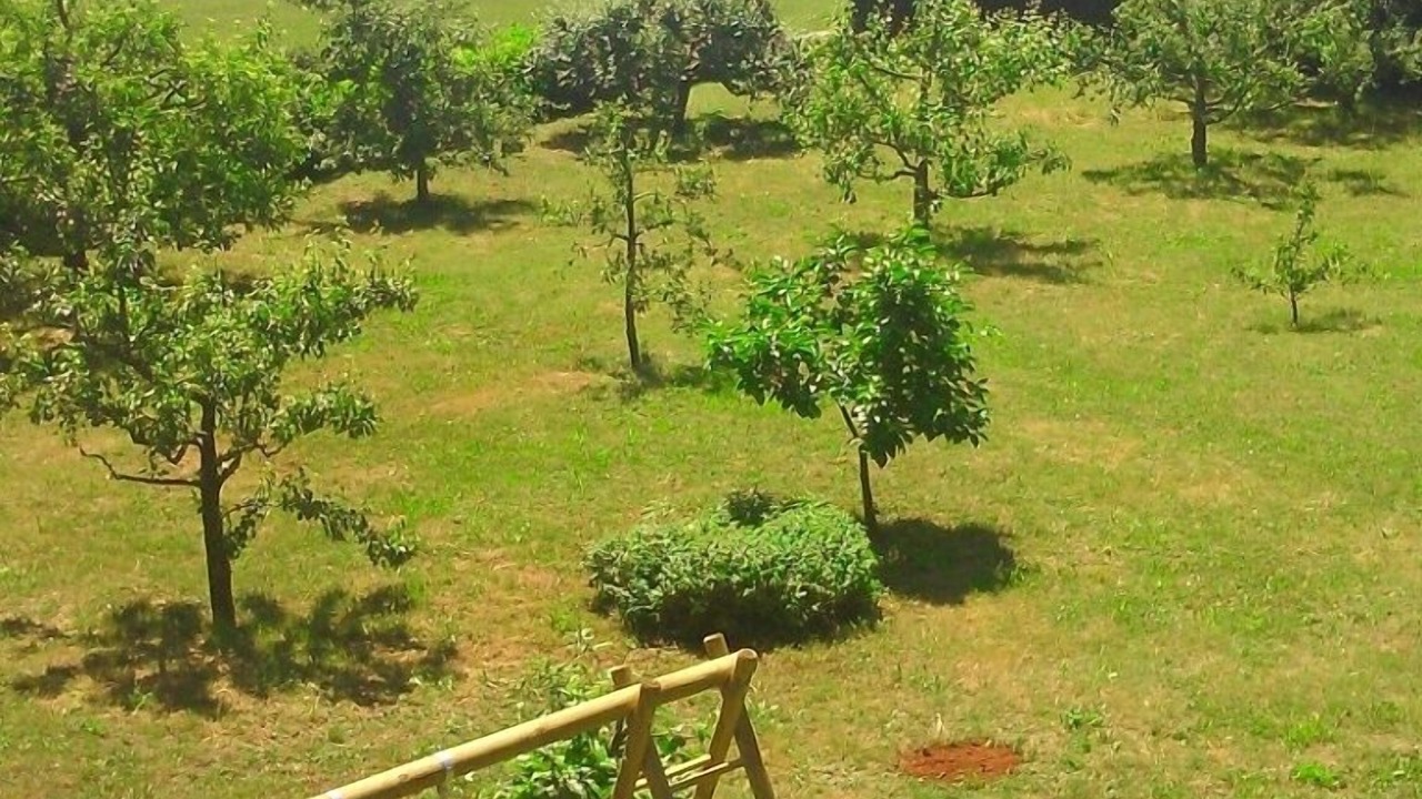 Photo of Others in Marceljani
