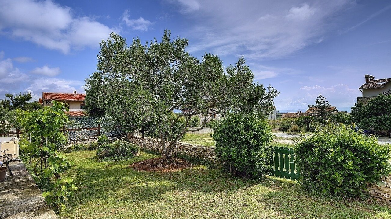 Photo of Outdoor in Liznjan