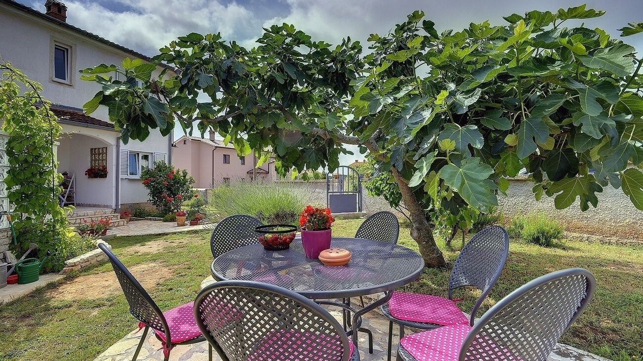 Photo of Outdoor in Liznjan