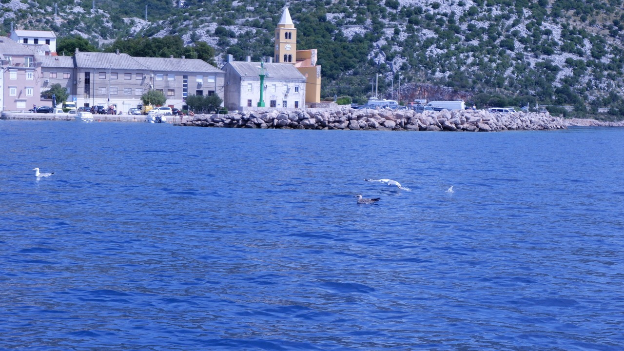 Photo of Others in Cesarica