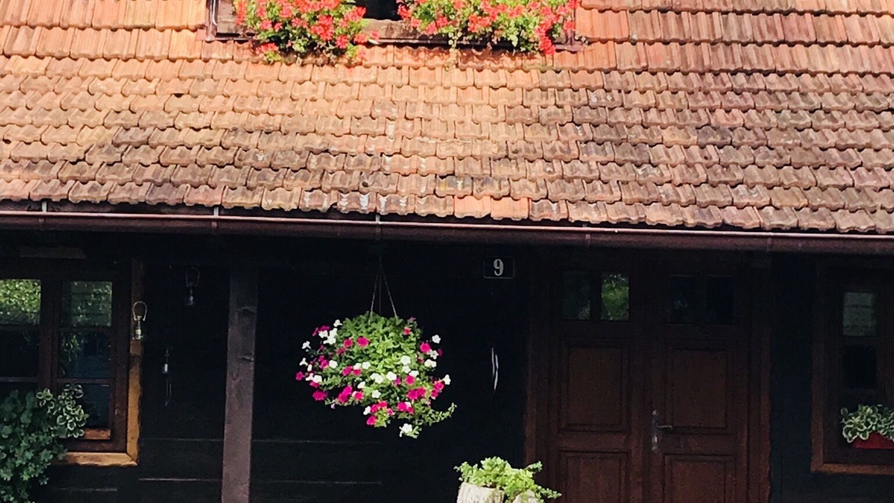 Photo of Outdoor in Marija Bistrica