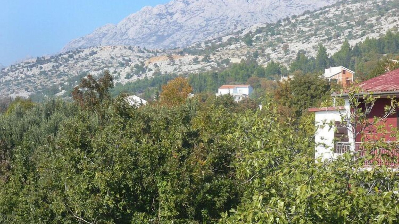 Photo of Others in Starigrad