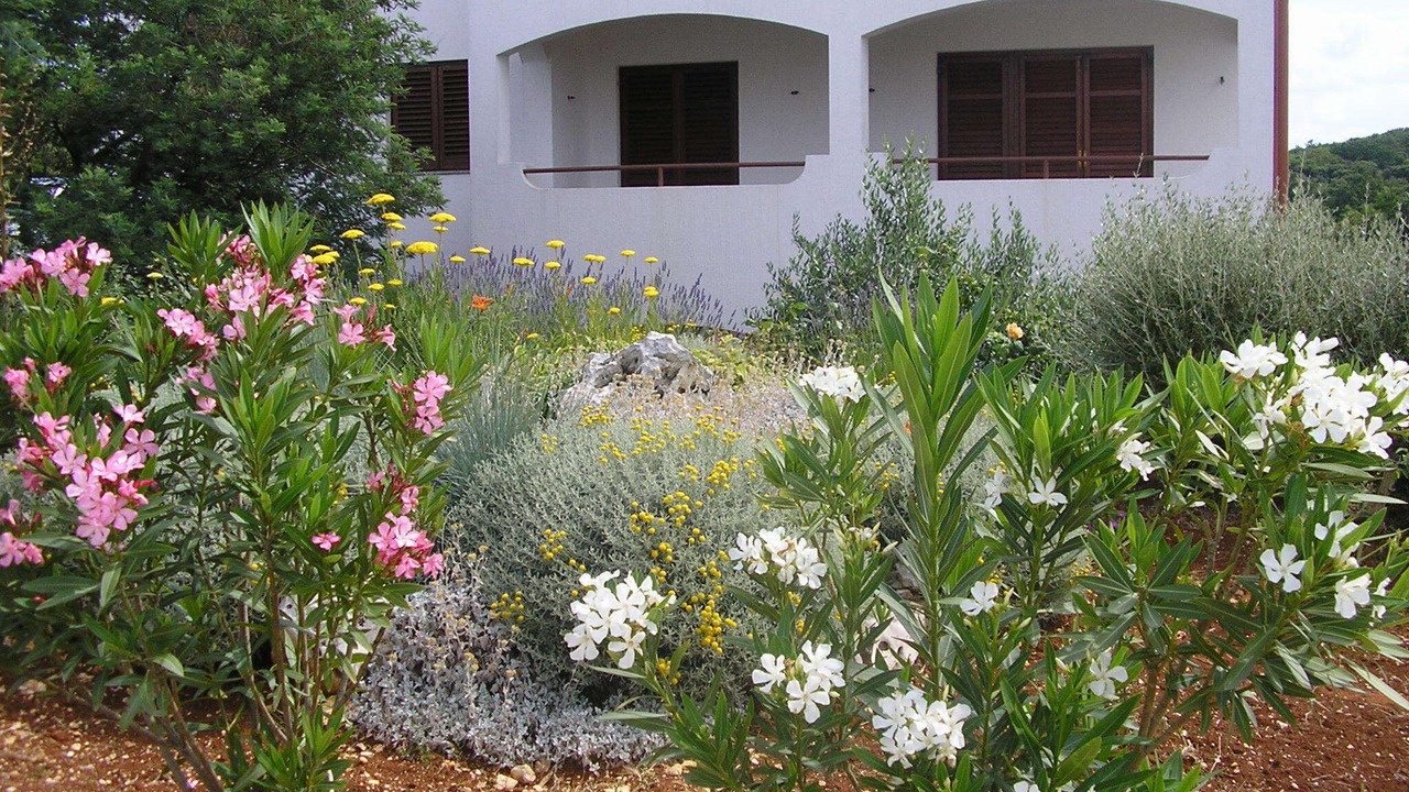 Photo of Outdoor in Vrsar