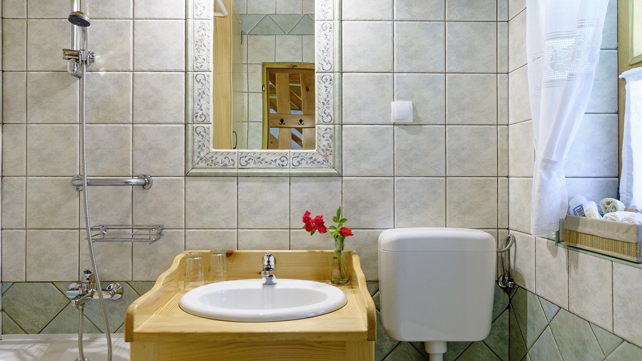 Photo of Bathroom in Delnice