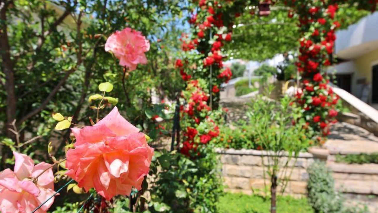 Photo of Outdoor in Okrug Gornji