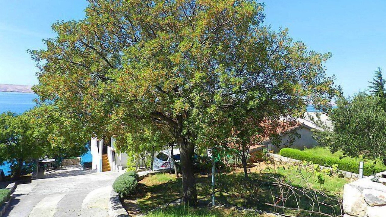 Photo of Outdoor in Baric Draga