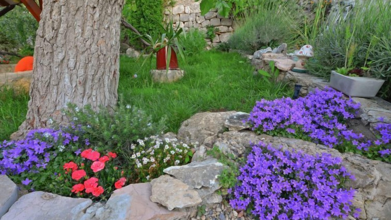 Photo of Outdoor in Seget