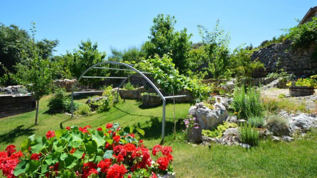 Photo of Outdoor in Seget